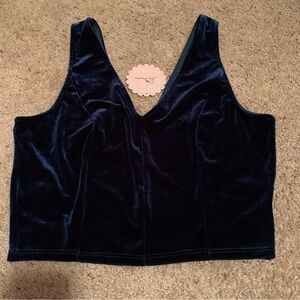 Soprano Velvet V-Neck Crop Top